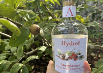 Aberglasney autumn gin Hydref in the Kitchen Garden